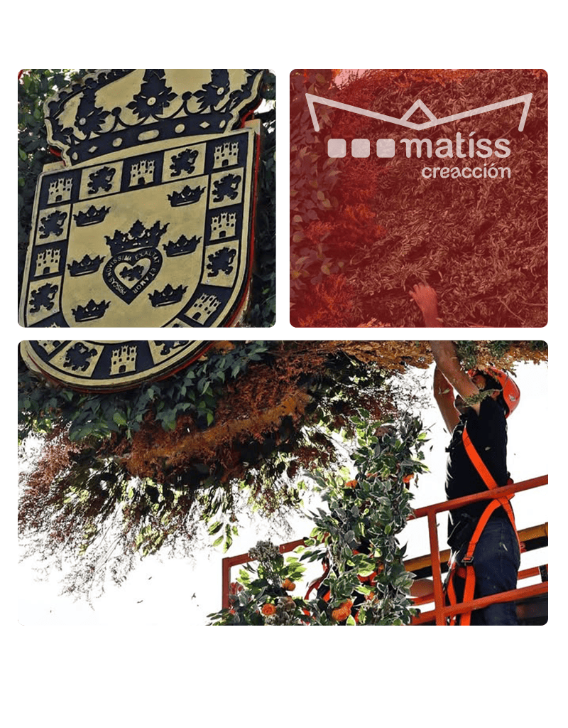 Matiss es arte en acción, nosotros lo llamamos "creac-ción”